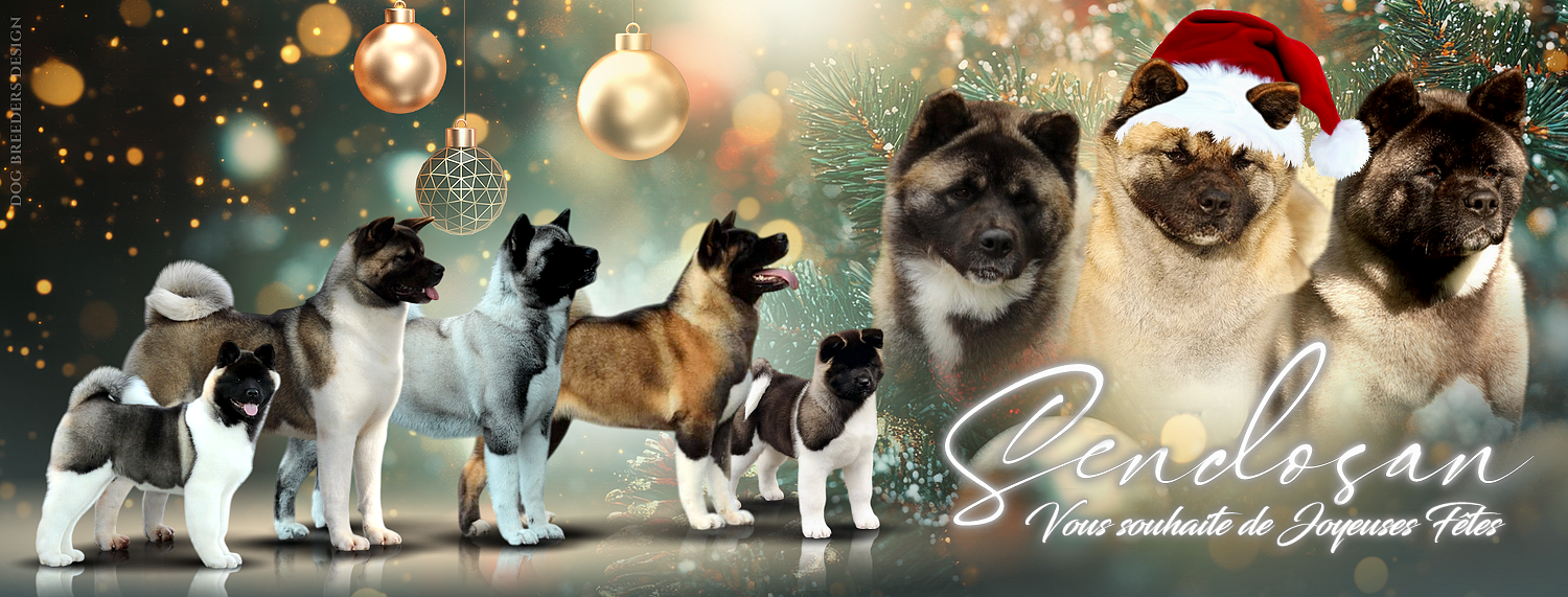 xmas banner sendosan chiens 25