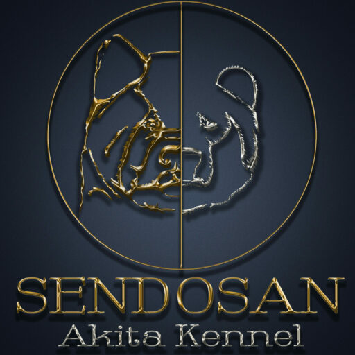 logo sendosanok doré argent