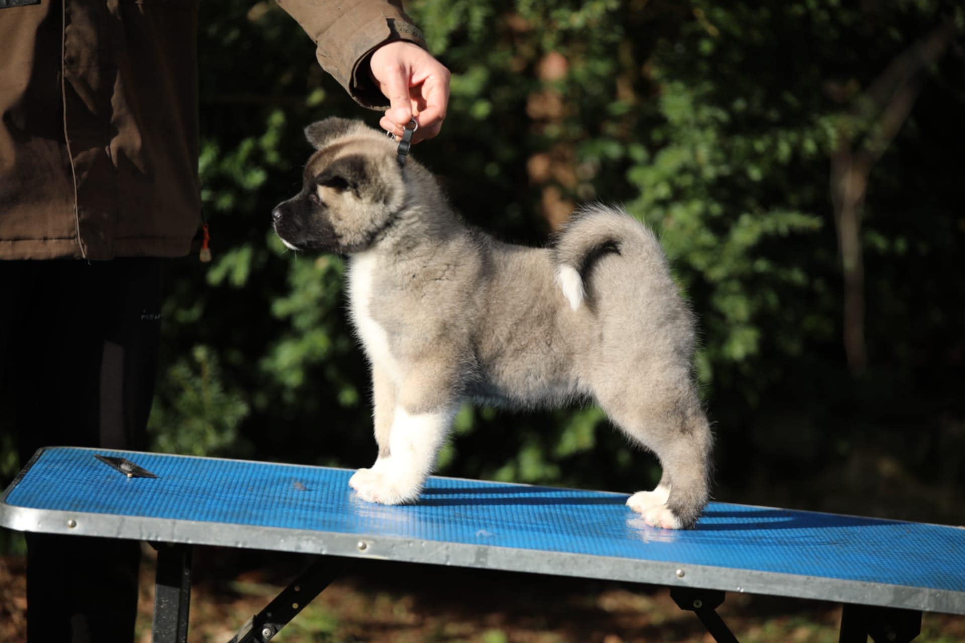 132c8509 2d5f 4baf a29b a1ede5a567f1