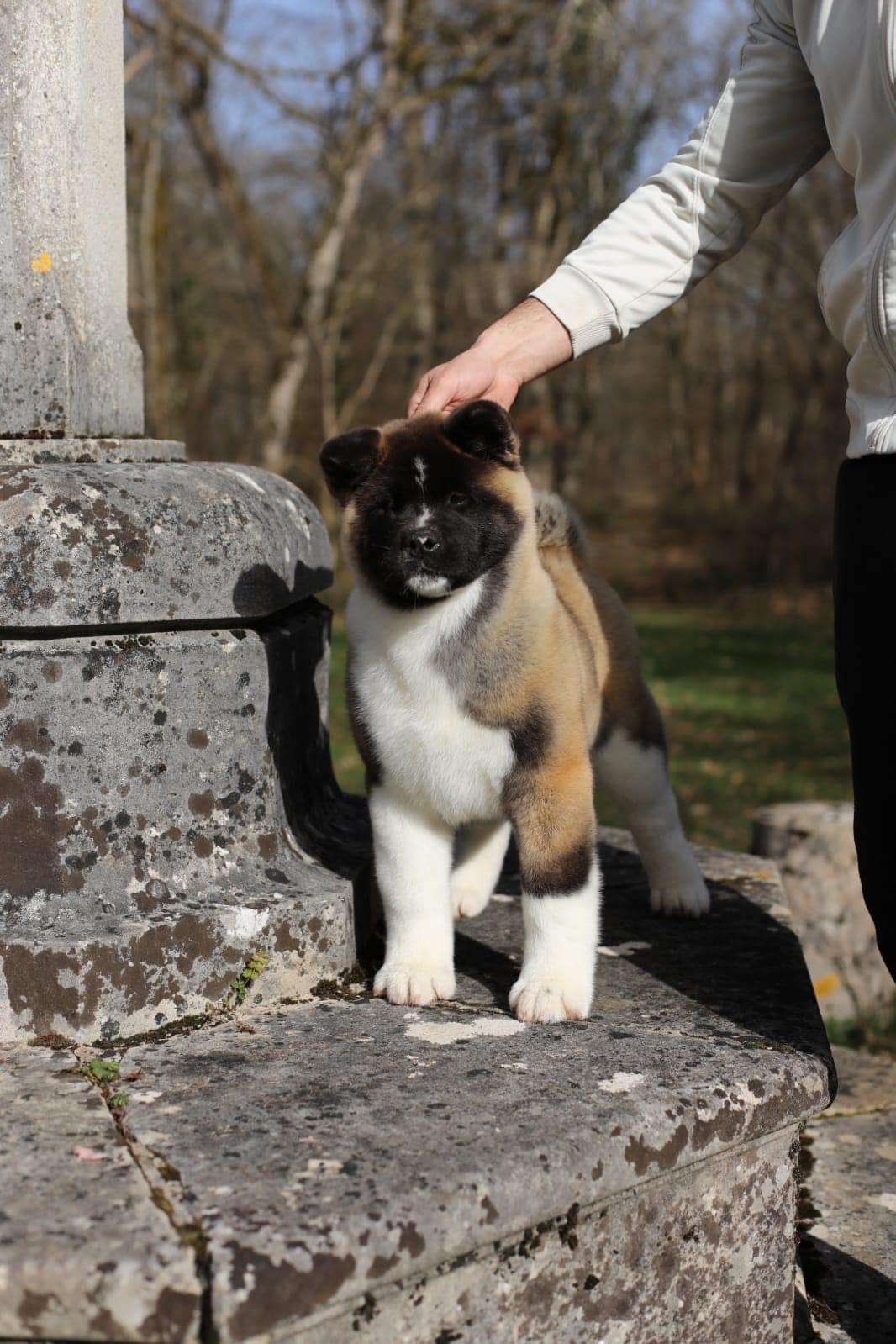 153698755 10223911405754457 450941943331344154 n (1)