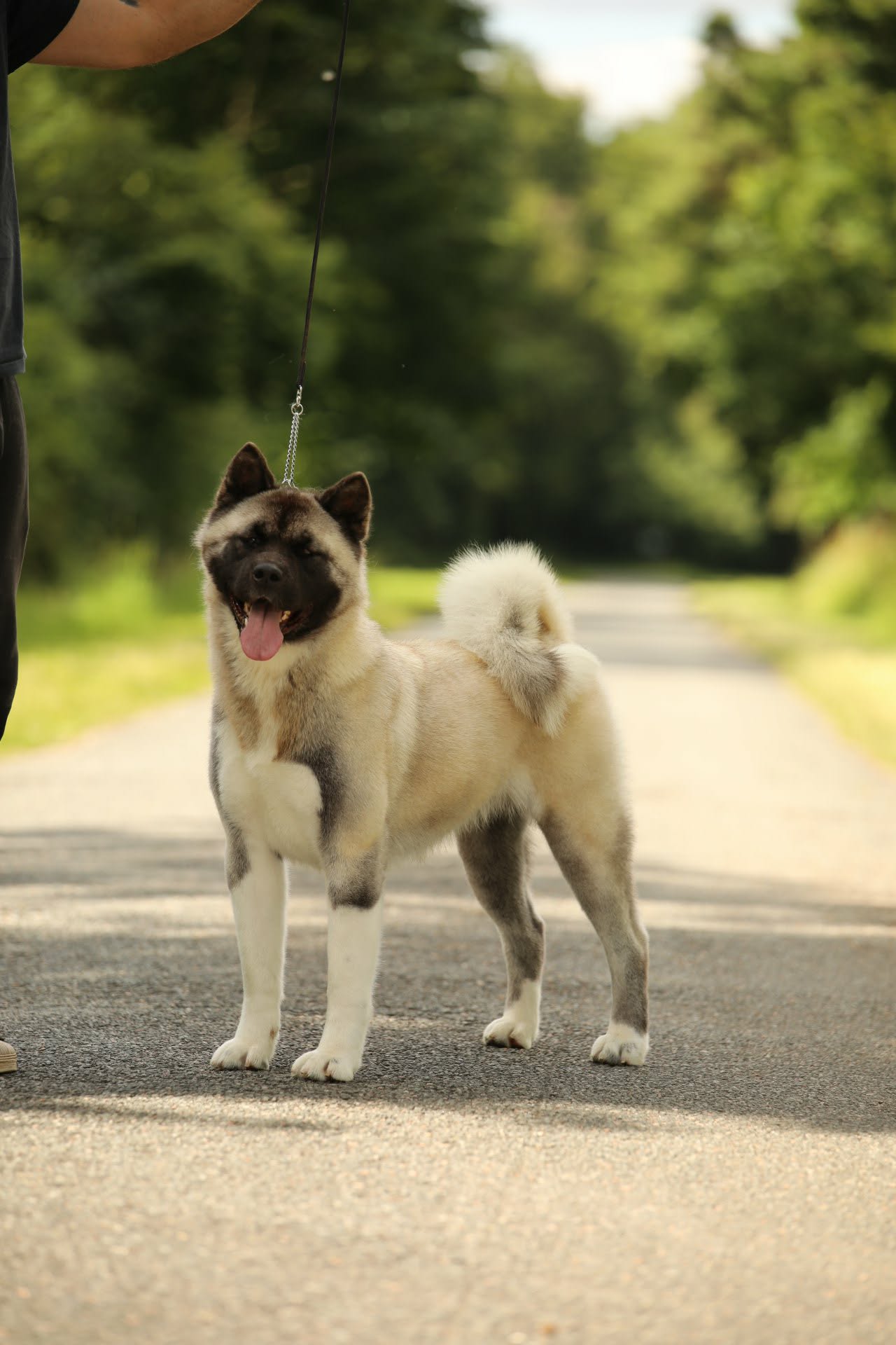 311471db 600e 4f35 96e5 9968fda23de4