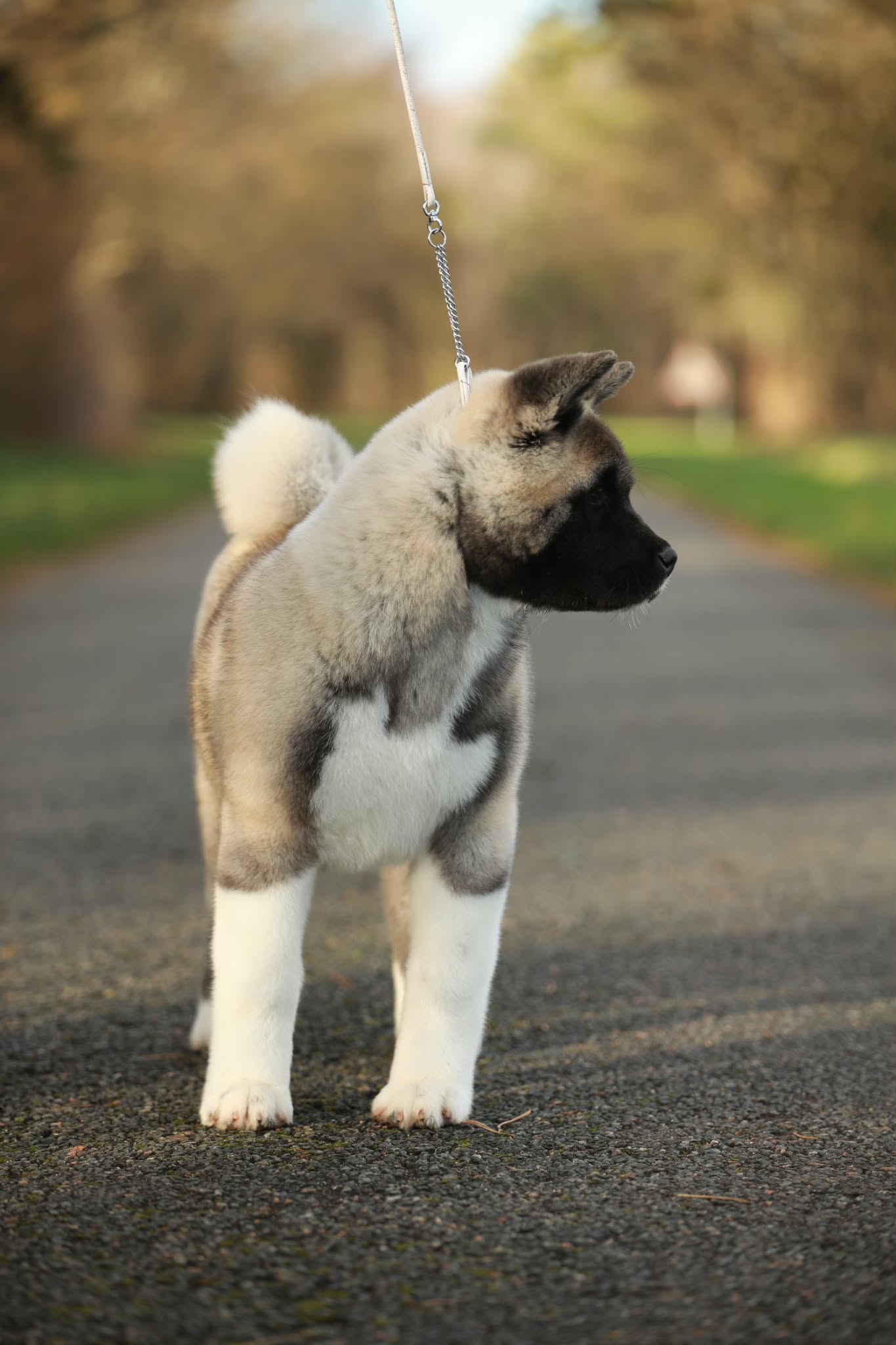 3e60b5dd 547a 4b71 948c 54fc8ab5fee6