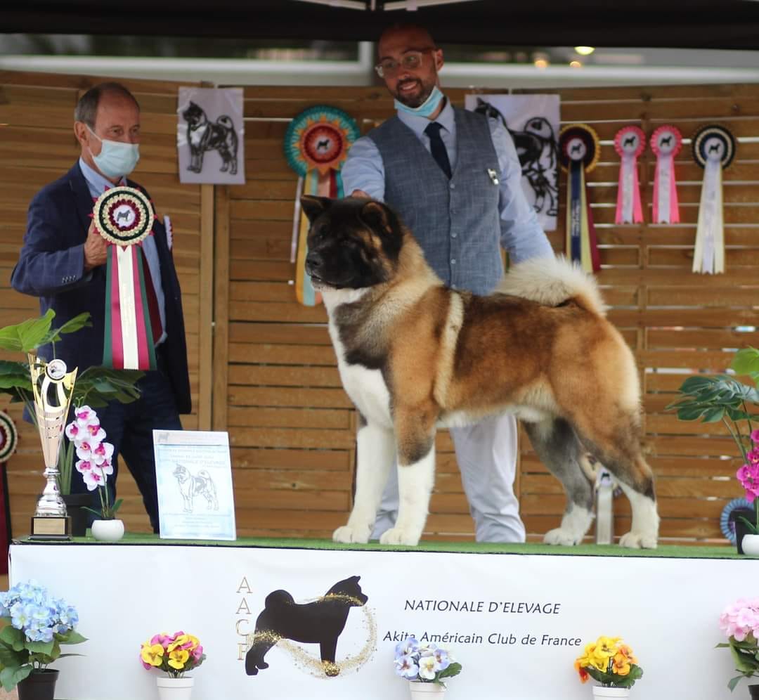 Naxx 468462711 2855414184635454 5094033925949798186 n