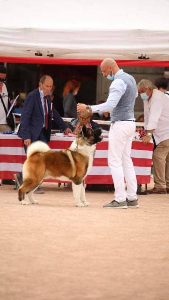 Naxx 470869160 10228817514608258 1400930902840540317 n