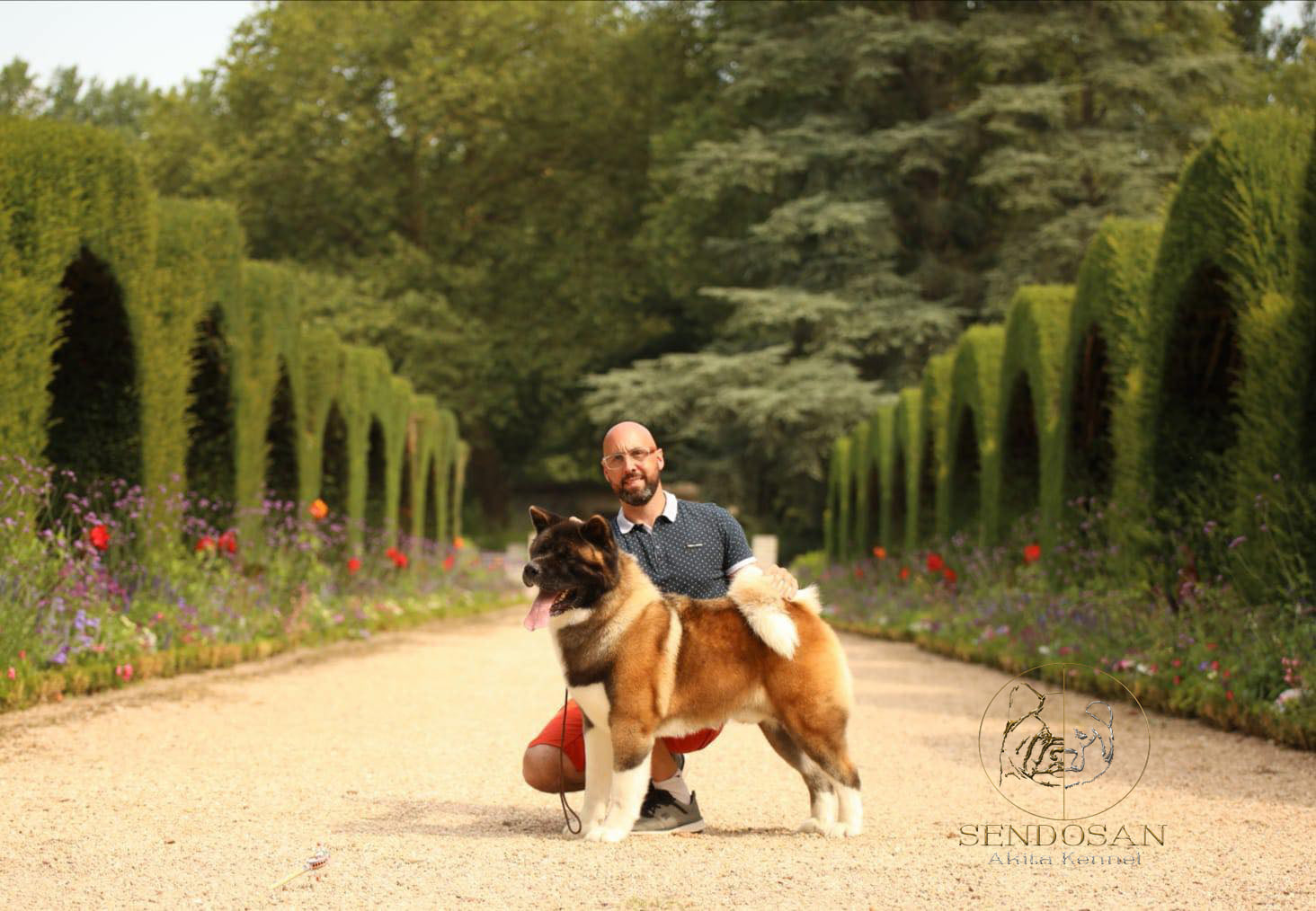 naxx akita americain d'exception