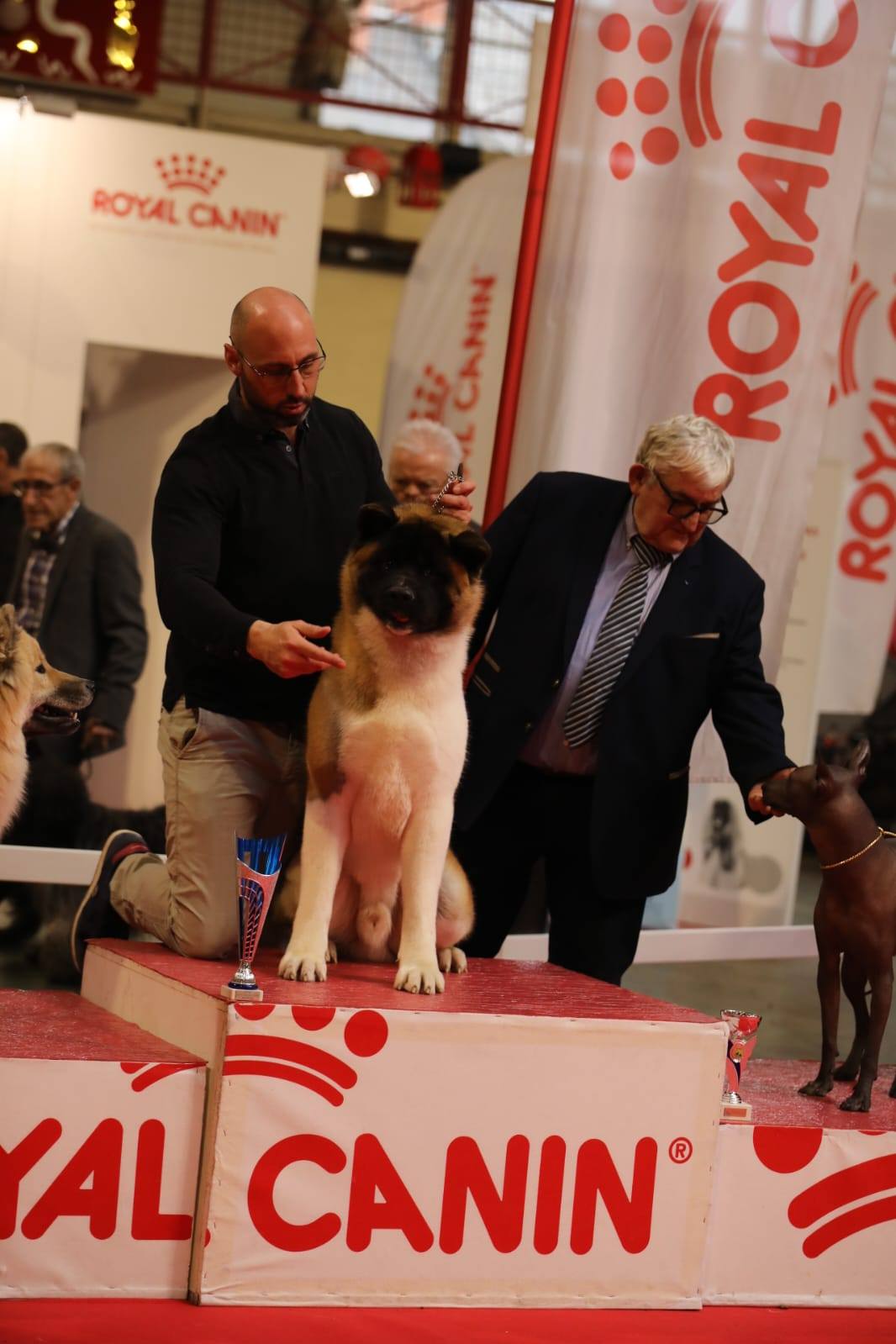 476909814 10234929140790947 5971530793349399628 n