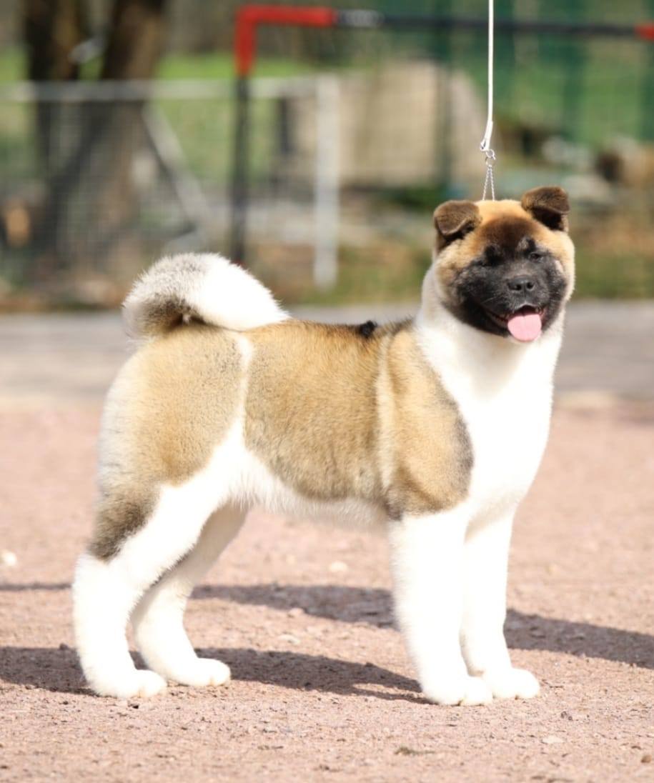 485180170 10235372084464262 6568681383280100924 n