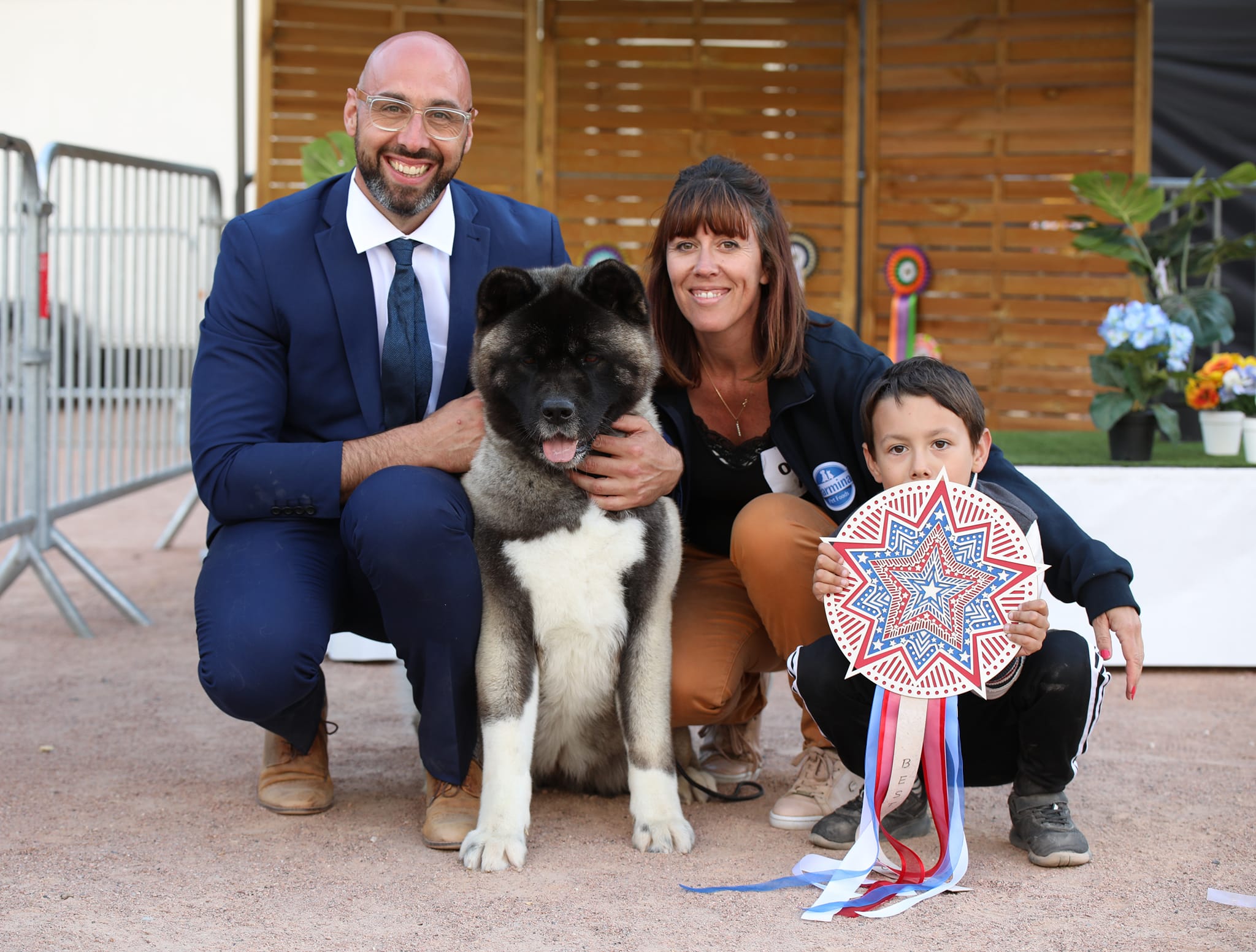 Chunli passion akita americain famille