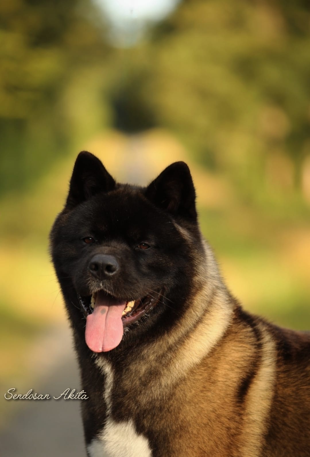 496424425 3008452052664999 4039850542279648893 n