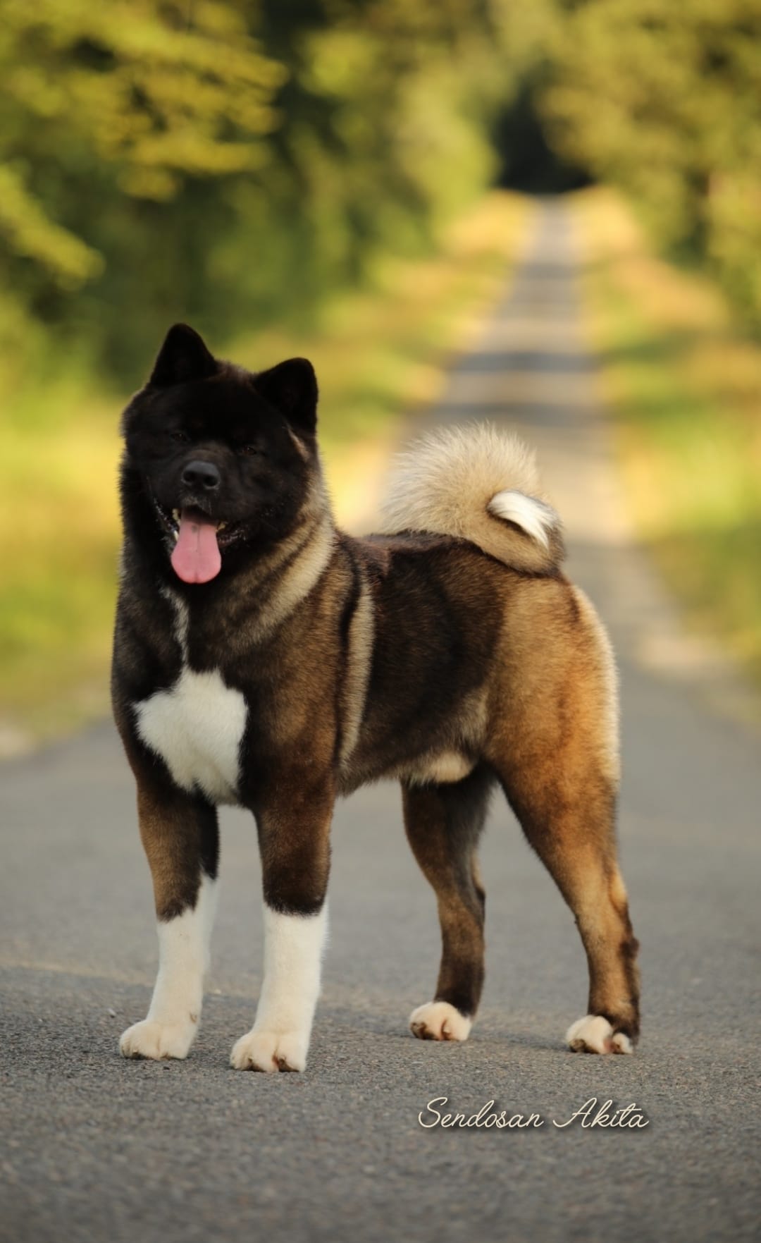 496947709 3008452072664997 4873295565107916433 n