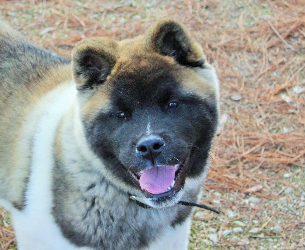 497004351 10236183470148397 8376835205134483243 n