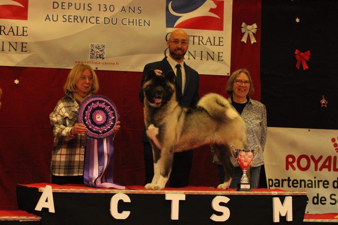 500764307 10236352026802208 6912311915010962257 n