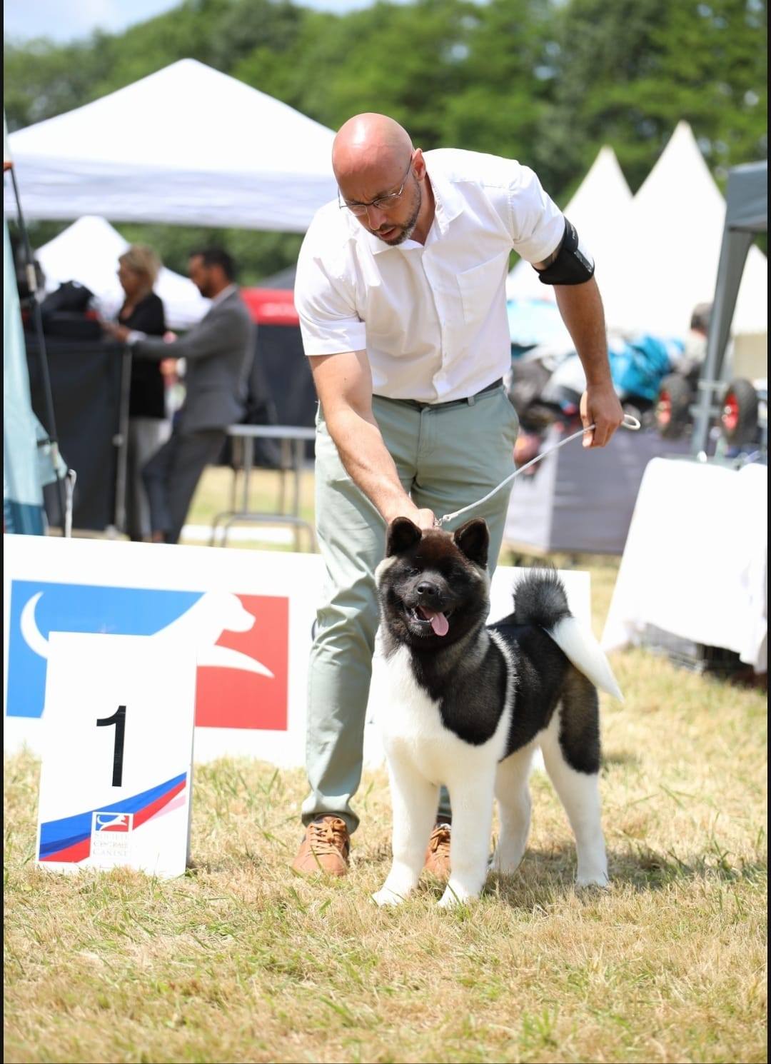 502583520 10236543986841089 27299495235346185 n