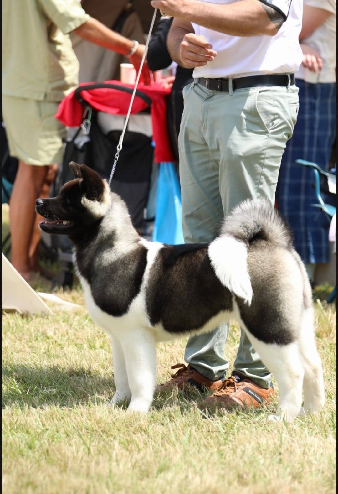 502610342 10236543987601108 90333749641326685 n