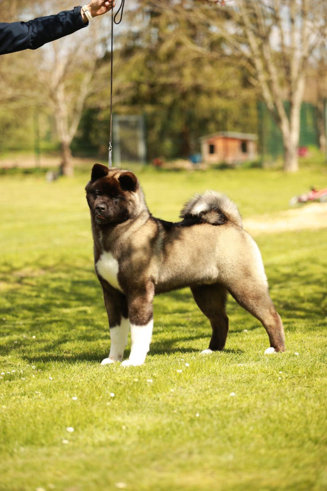 504298360 10236475022317019 2062660693312364572 n