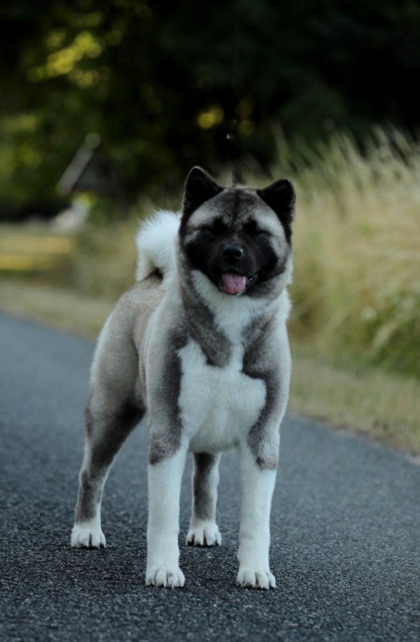 504376624 3076051249238412 7323539150088505200 n