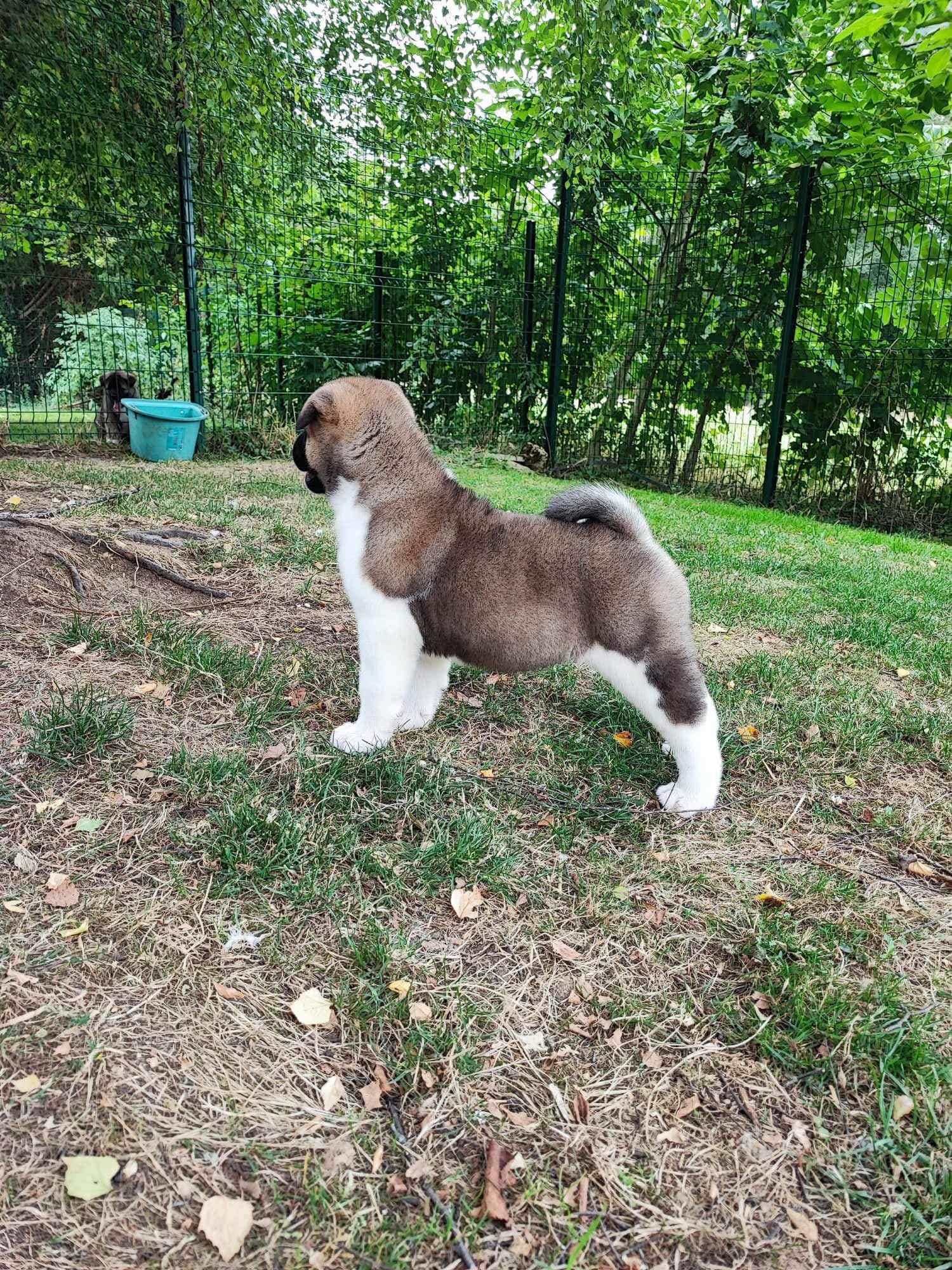 Beth 505526967 10236599450627649 6095082675574732588 n