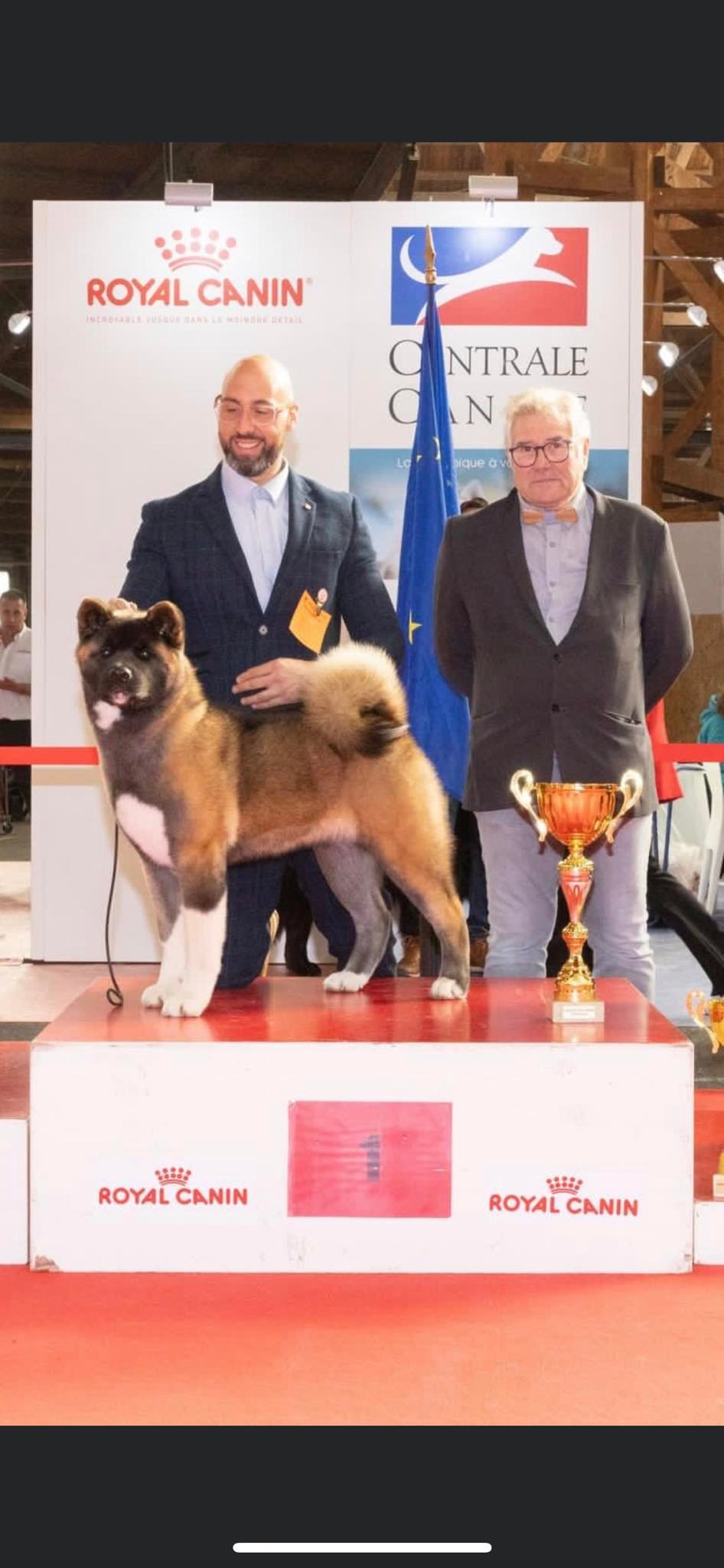 Buffy 507091934 10236629164530478 3934924142916452773 n