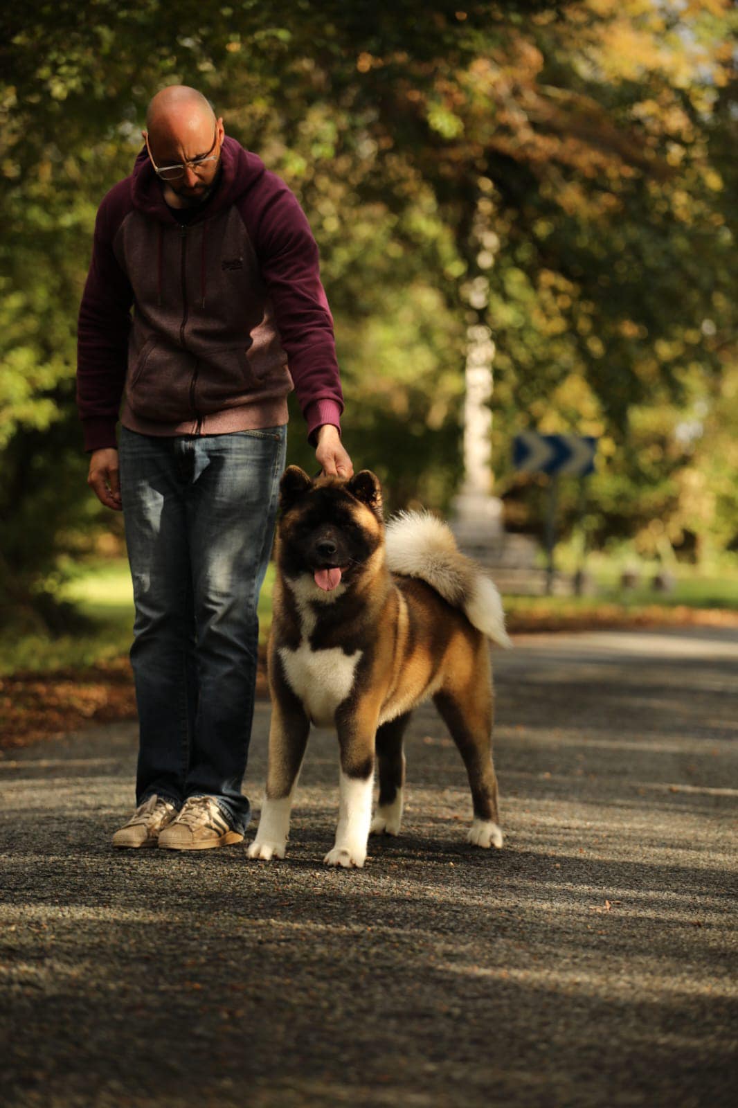 Kotomi 507267997 10236629856747783 1617537340603302274 n