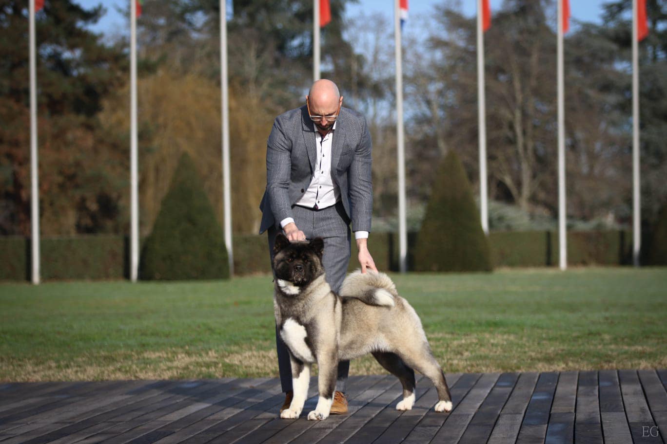 Chunli 508129066 10236671597671280 2397871861554967260 n