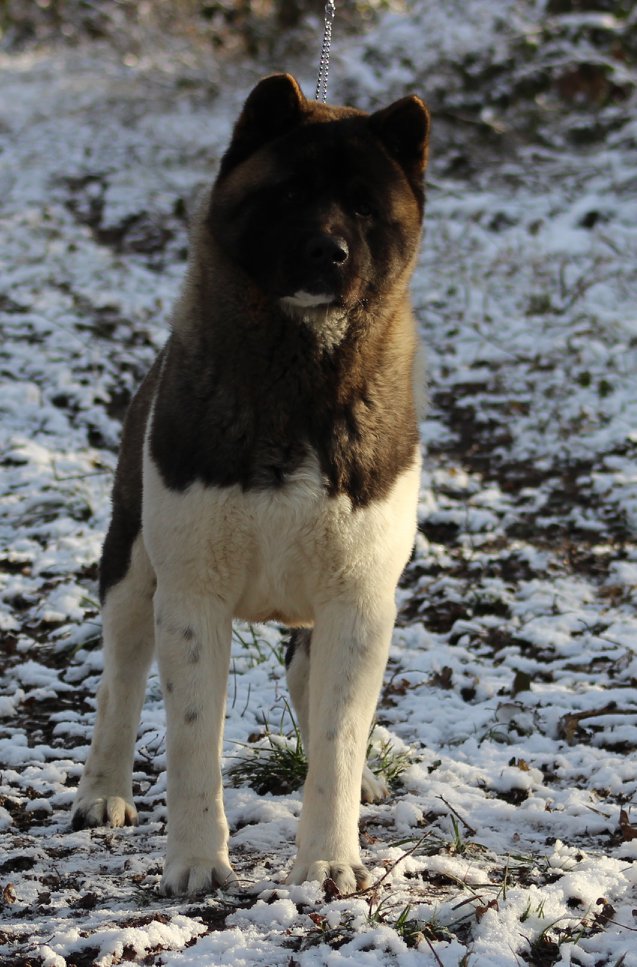 508348998 3053951728115031 8902472952950195496 n