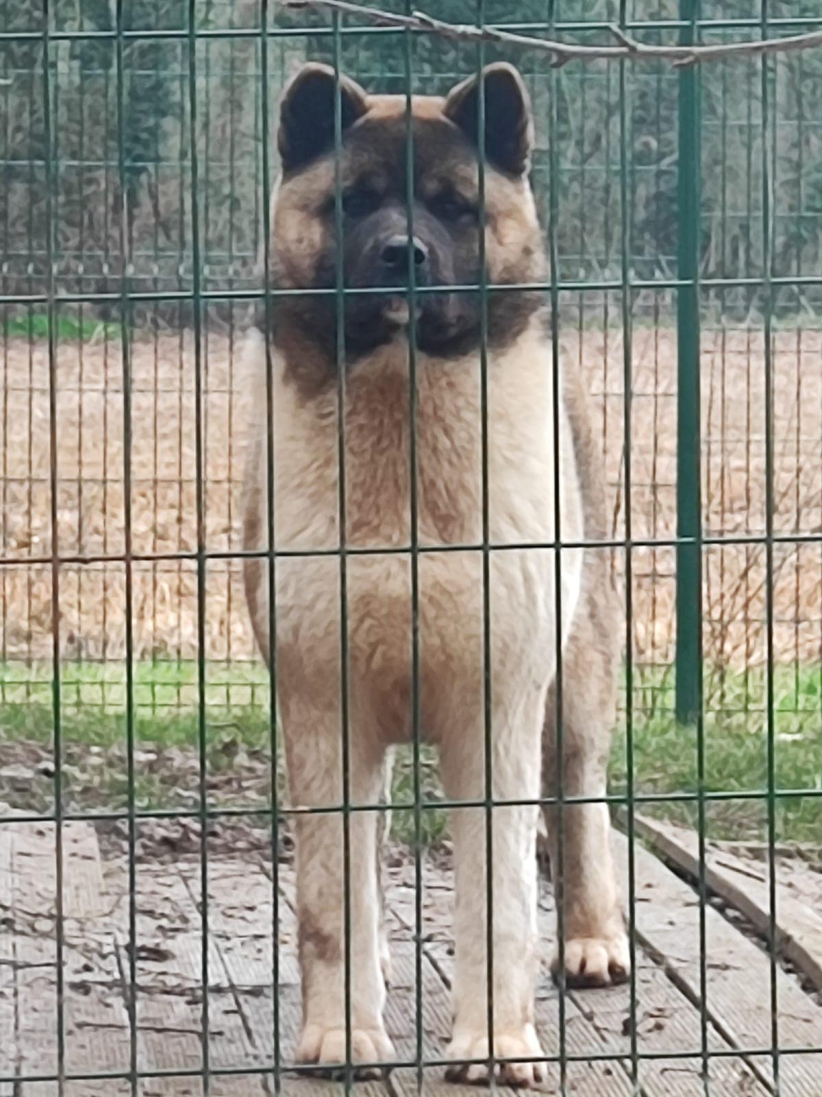 Beth 508468595 10236683464487943 1286185148096176382 n