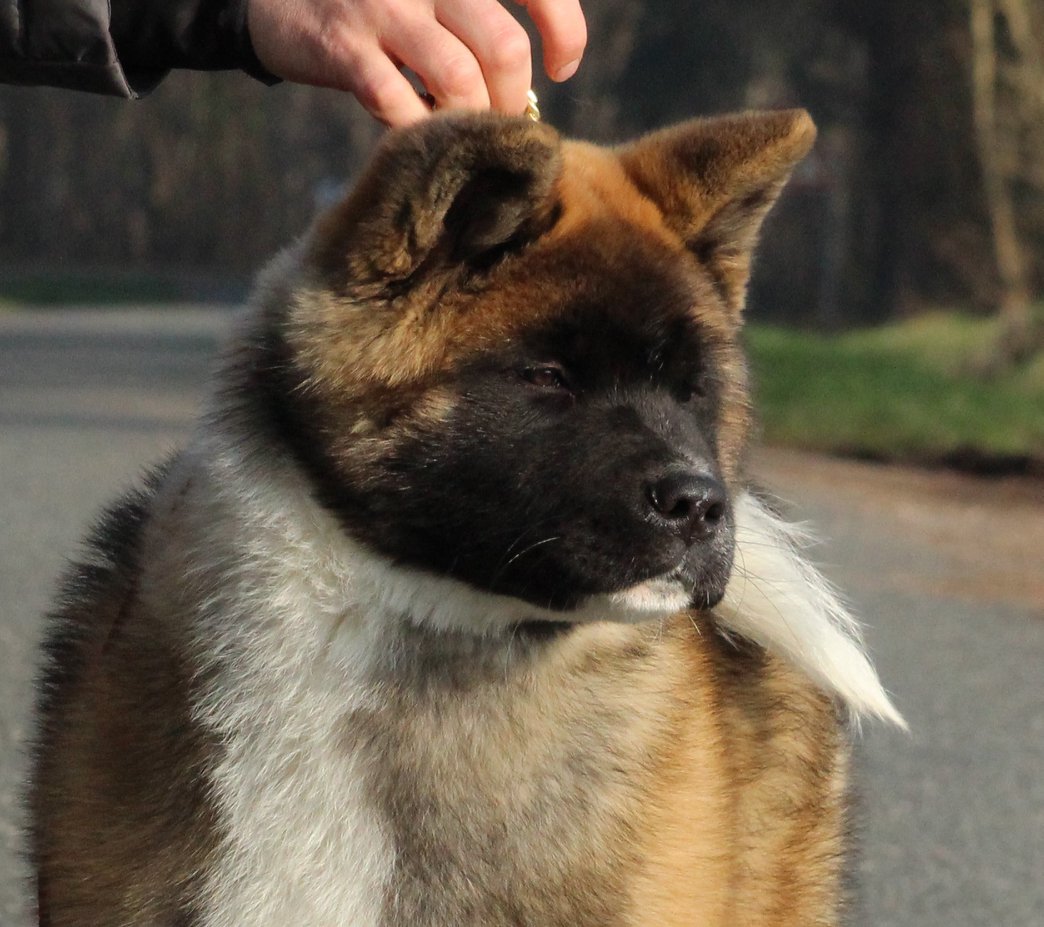 Naxx 508705581 3054285974748273 1256432638540994035 n