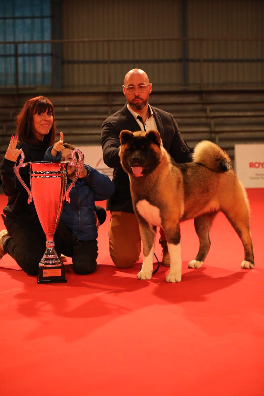 Buffy 508731034 10236693345494962 7991573291208671254 n