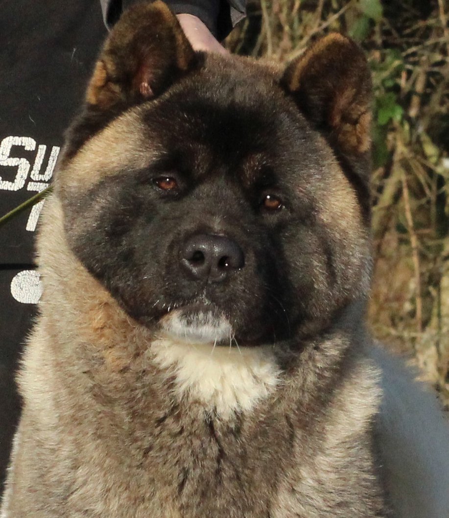 508733418 3053951571448380 4672546752545379281 n