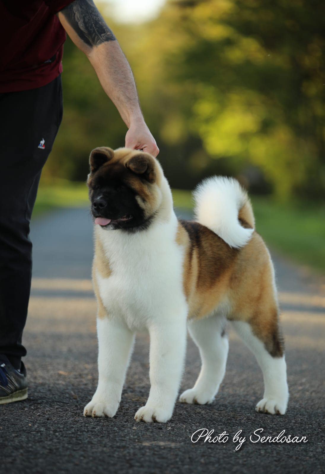 508763647 10236703192821139 5460747135992003051 n