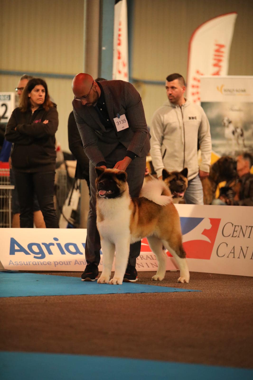 508883838 10236724770520568 7004172076535248686 n