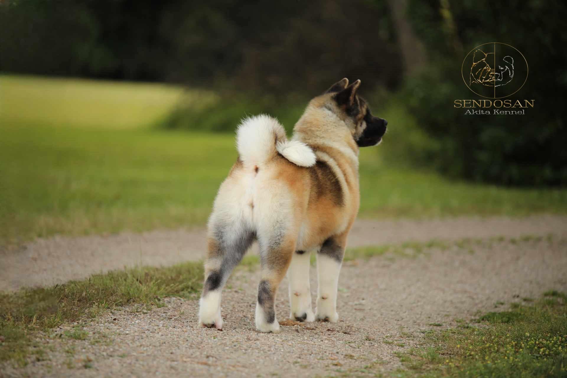 508933334 10236742428081996 3900919135145536272 n (1)