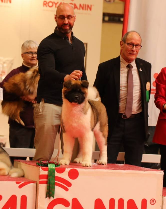 509136508 3056305451212992 7844374186107216427 n (1)