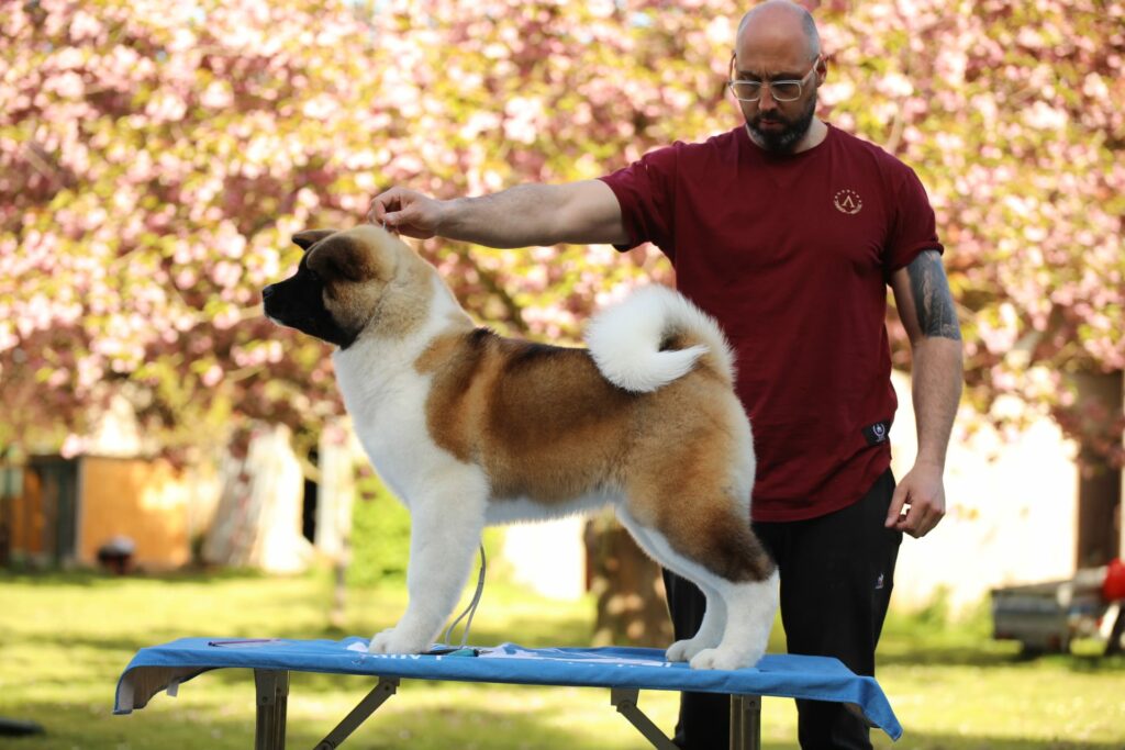 509144925 3055750617935142 1490276810863429538 n