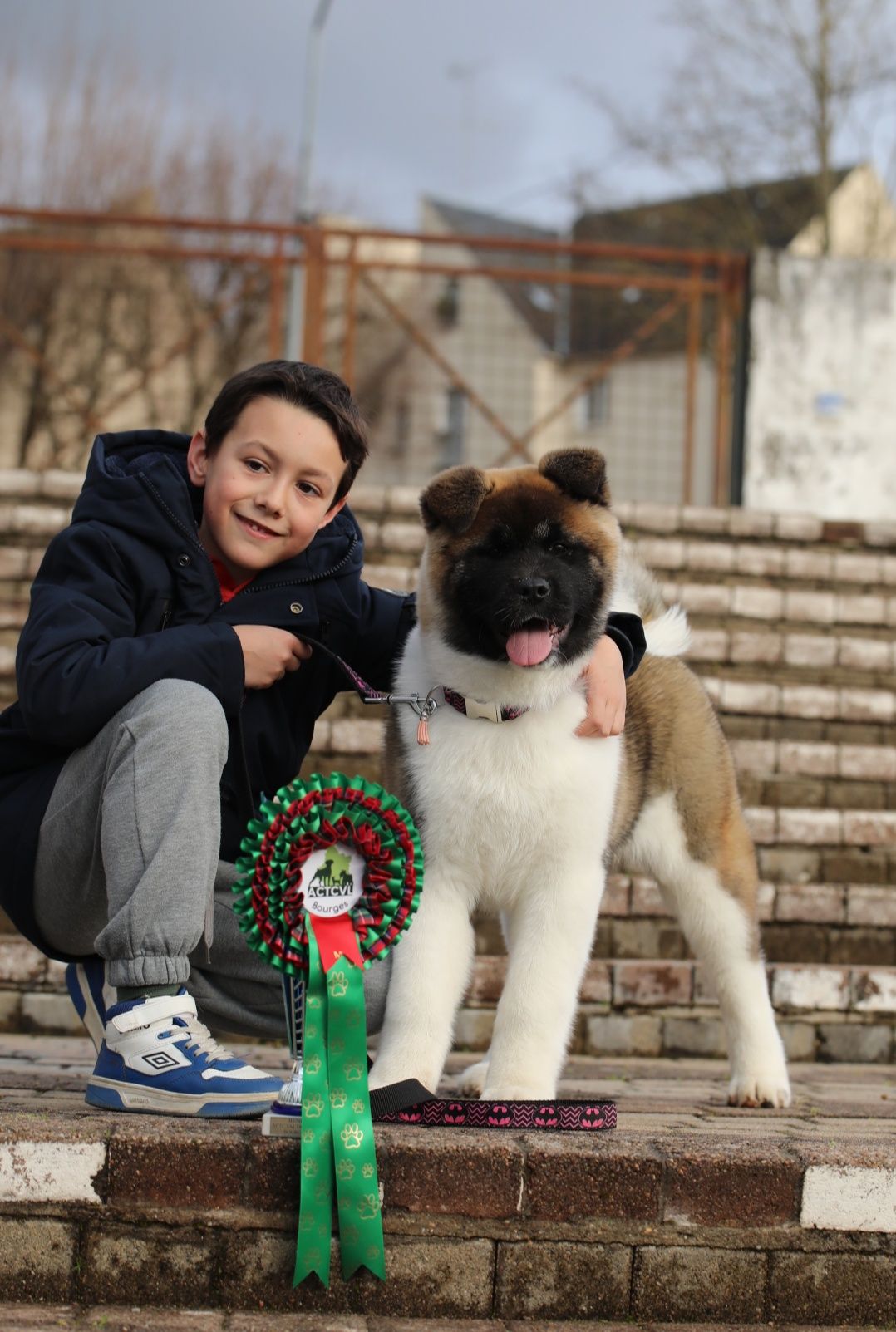 509406616 3056304594546411 5468202645870583332 n (1)