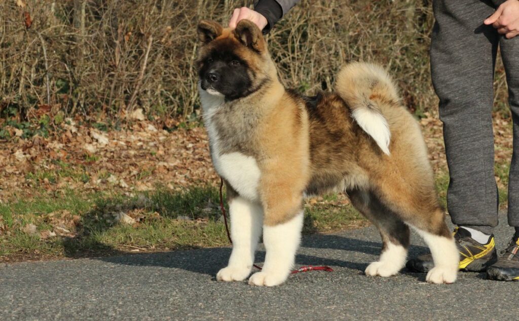 509727081 3054285904748280 4704526253367944726 n