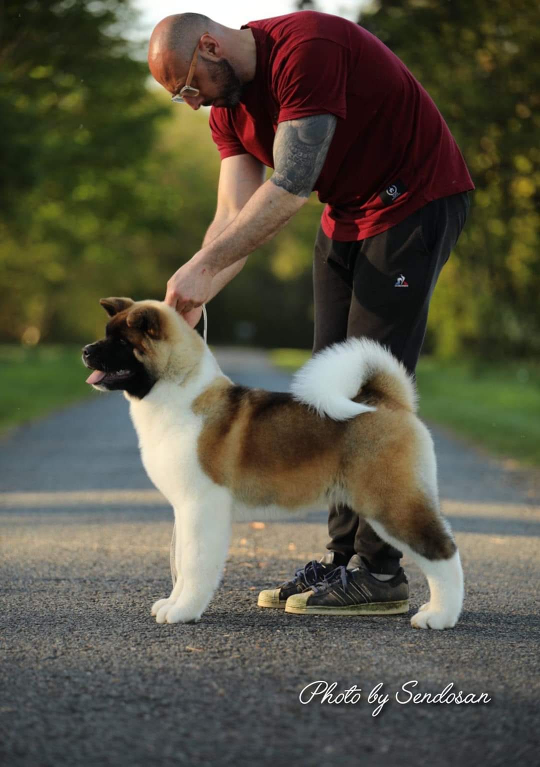 509756886 3055750401268497 7071891307099699902 n (1)