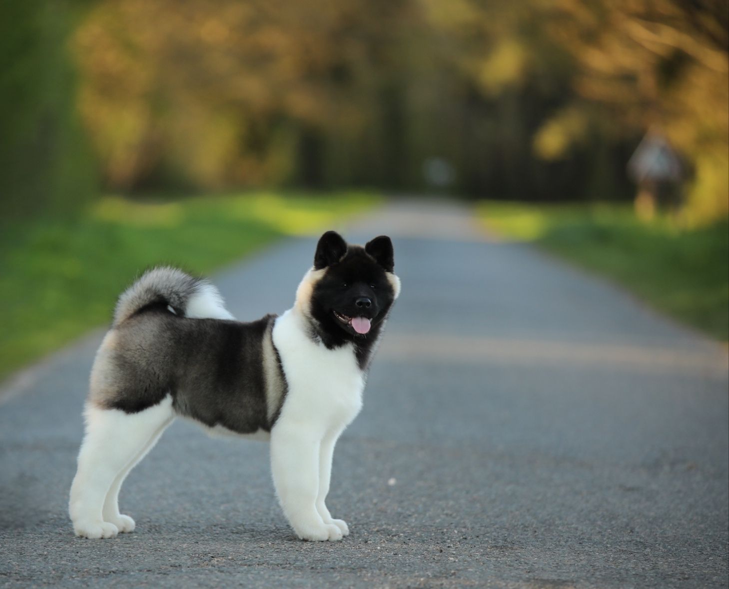 509958062 3056693807840823 3823306599881174350 n (1)