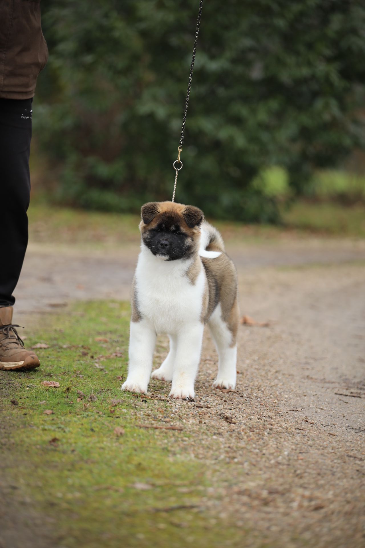 510042231 3056305597879644 3402824330986265105 n