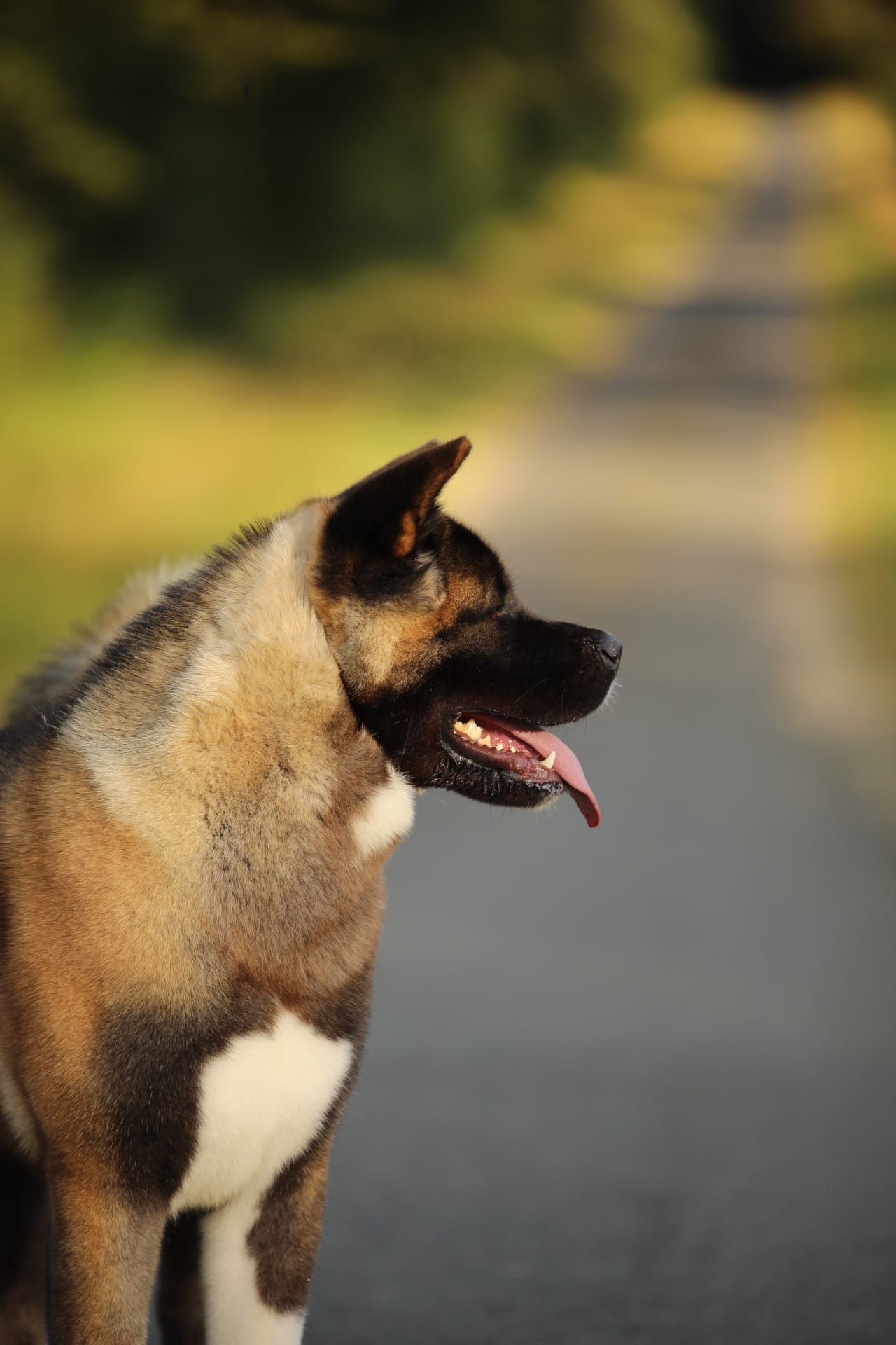 Buffy 510088550 3055332267976977 853053105335421833 n