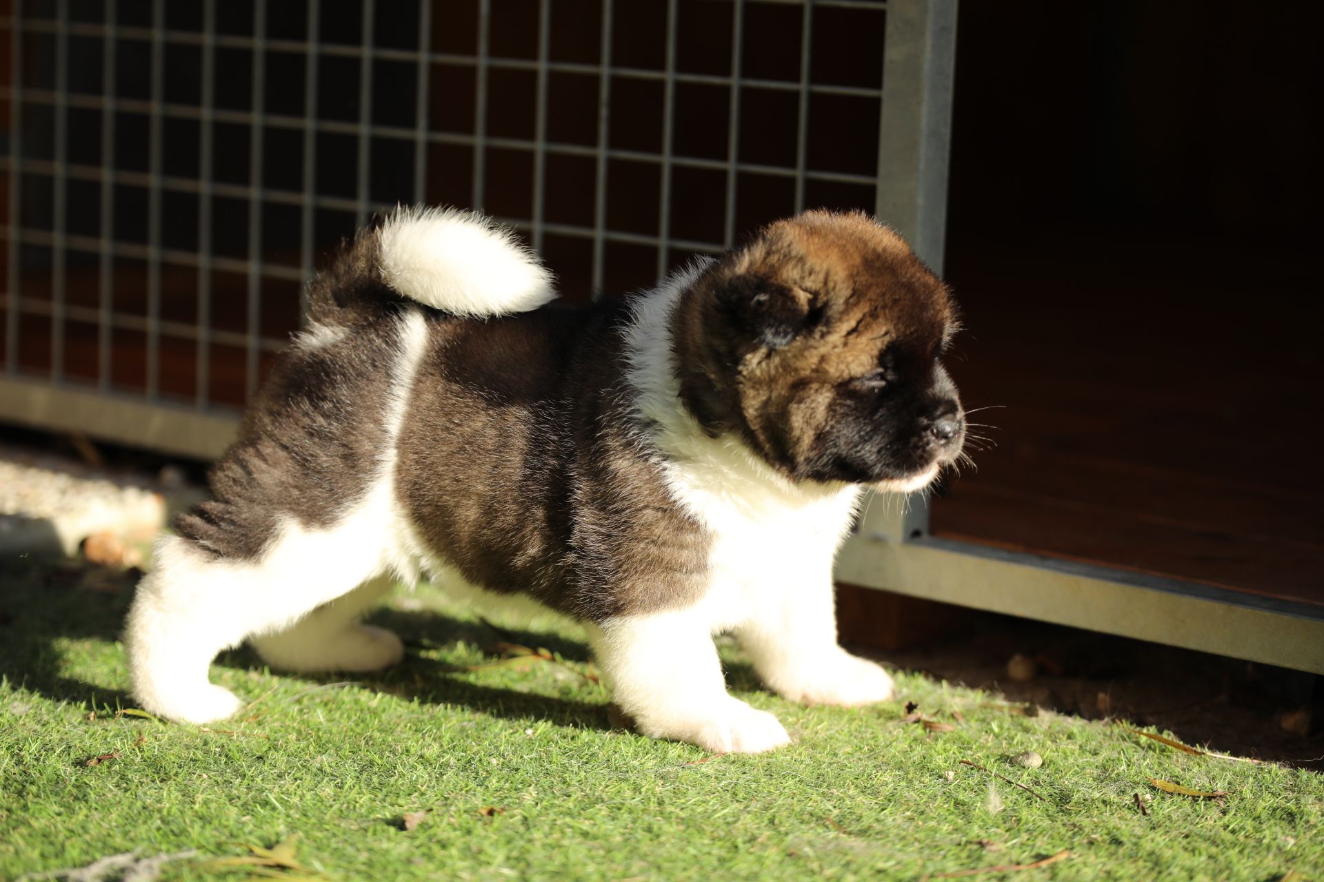 510528467 3056305314546339 5471253341333267422 n