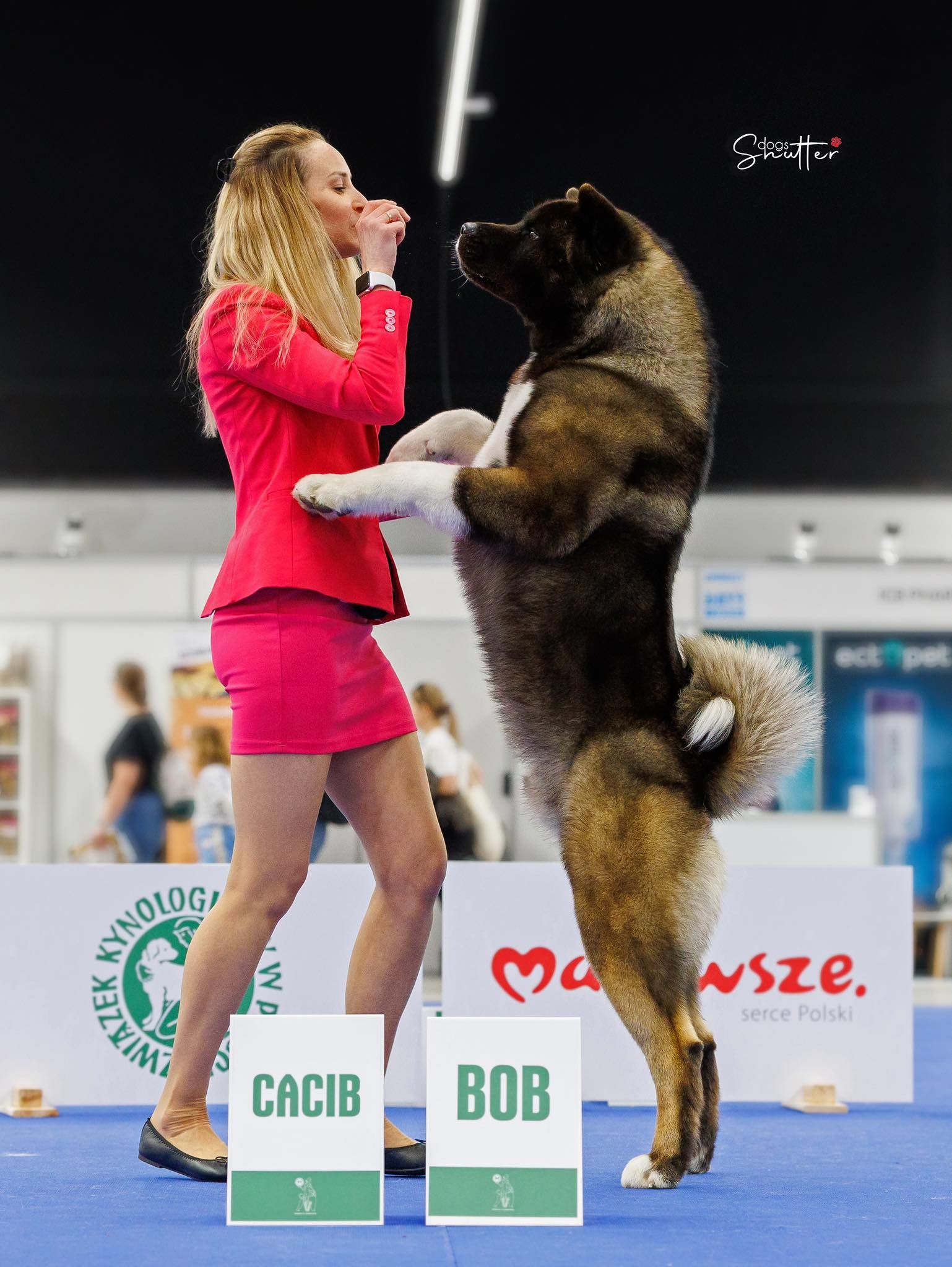 510755184 3056618364515034 491381531316637265 n