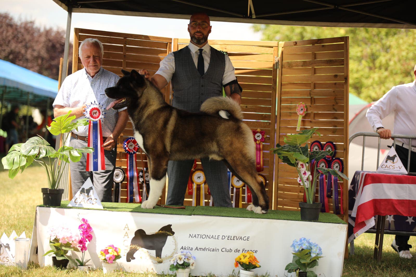 511314664 10236782020031770 9177380700021776026 n