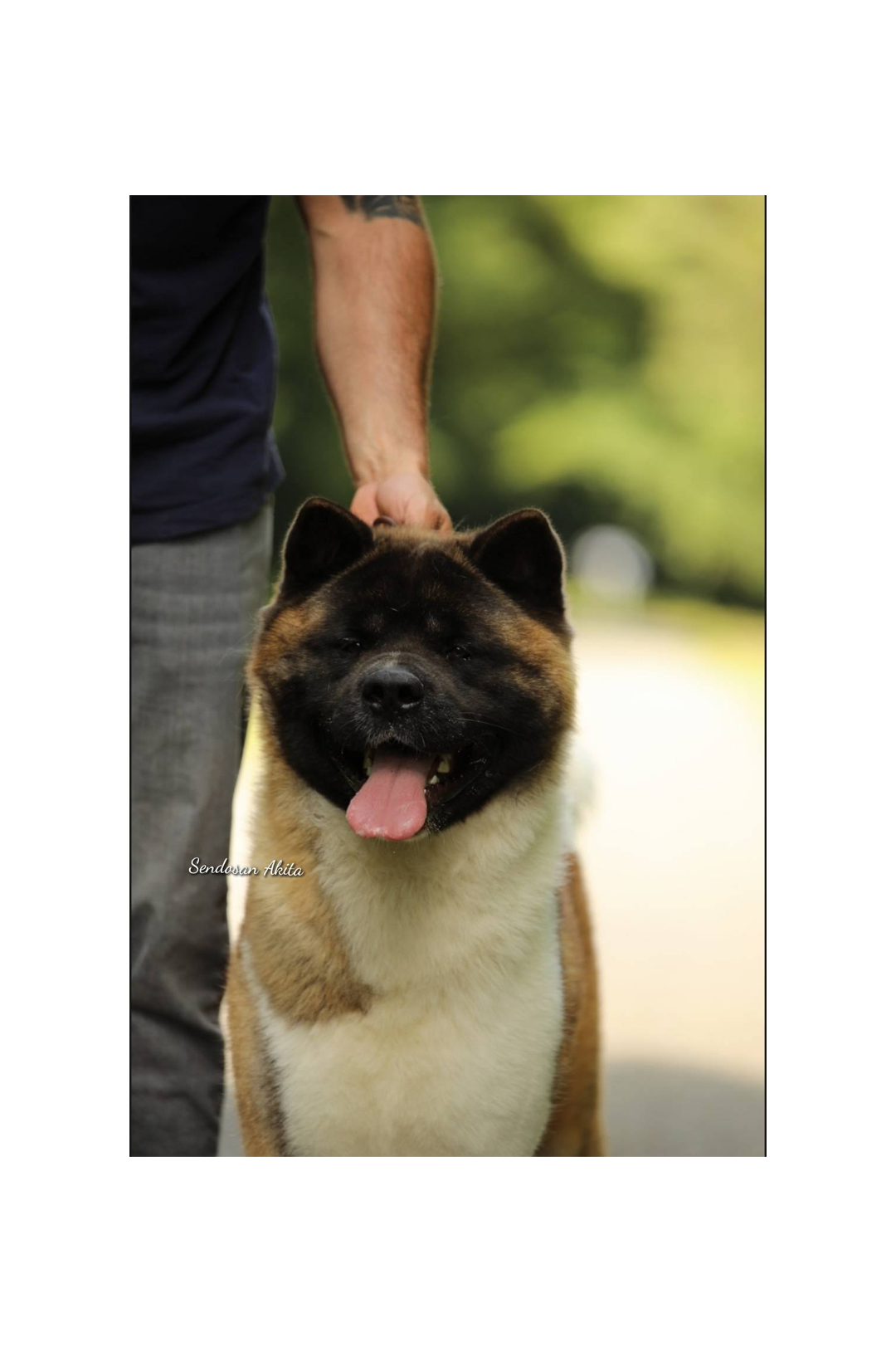 518354230 3082020788641458 709561589140280563 n