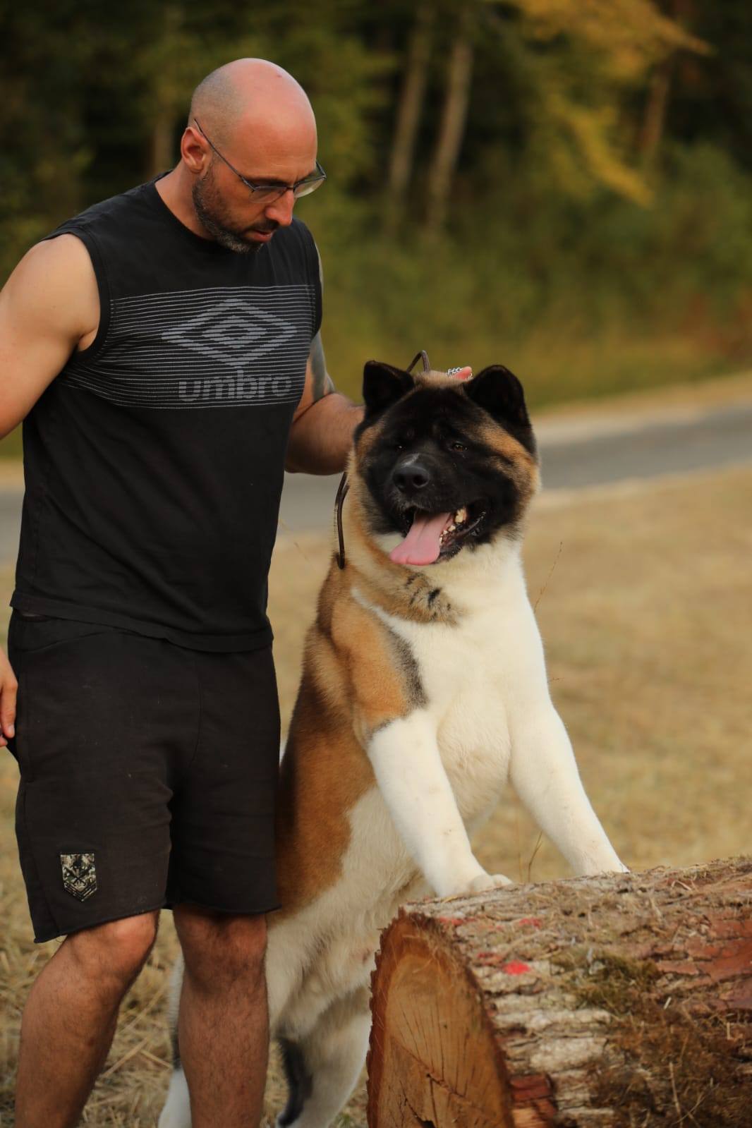 531862533 10237511977080240 6101410585384033828 n