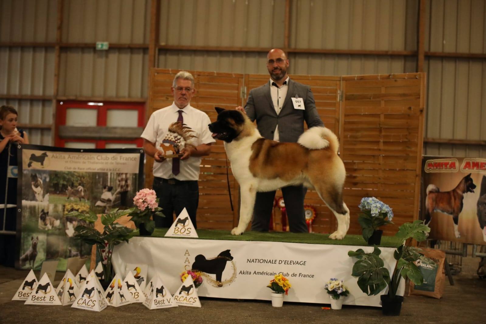 549984134 10238026335898889 7150927450251296666 n