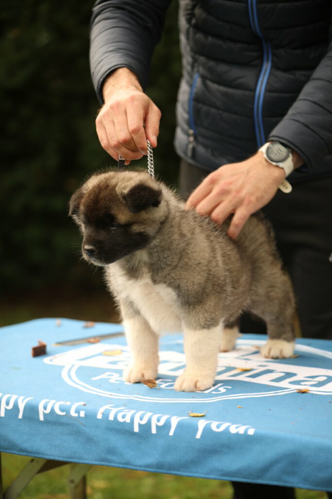 54f5d56c 87f2 4593 9736 4422371bd2ab