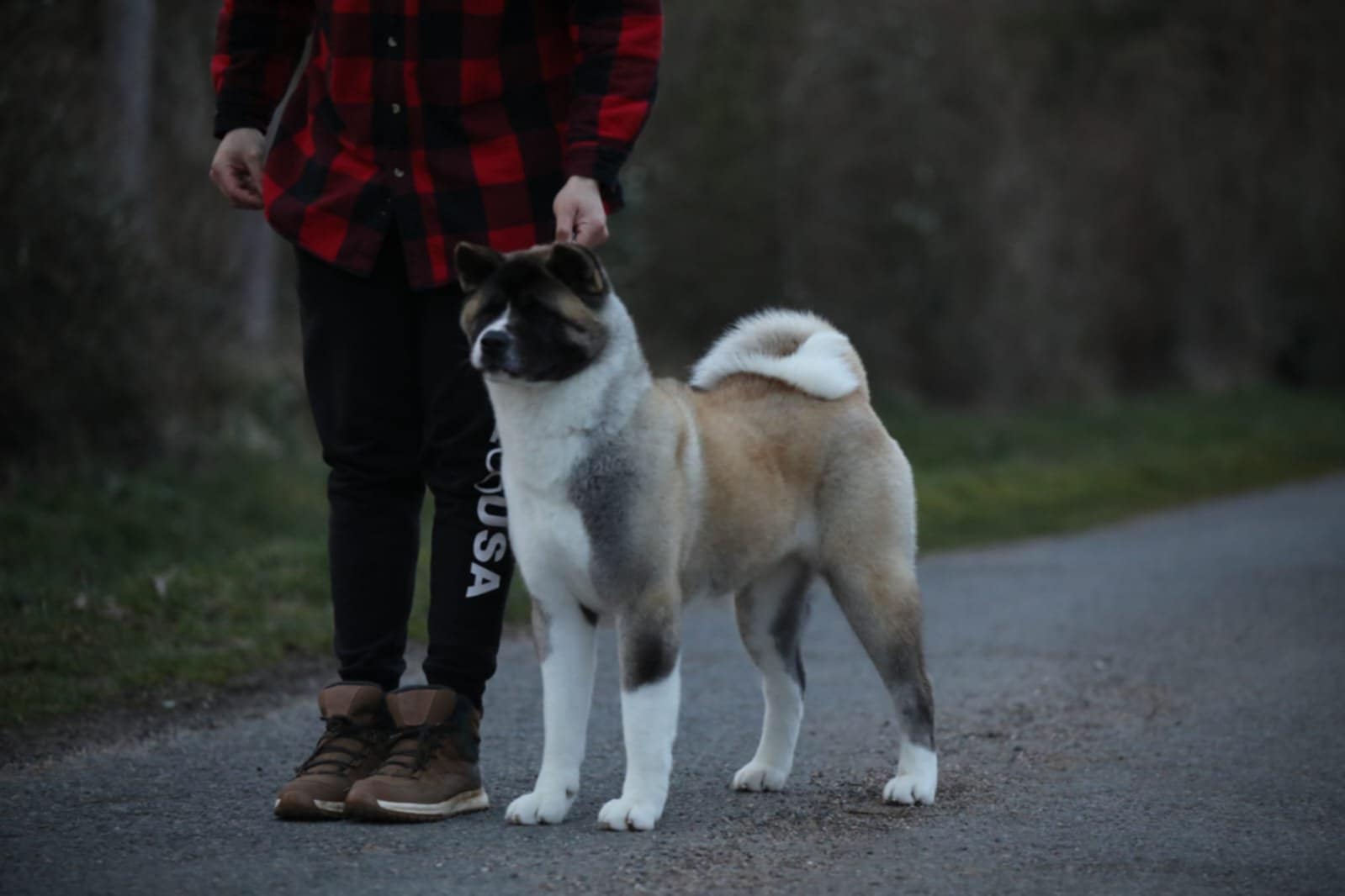 Kotomi 56ea9359 b2c5 4513 83fd baab77b0bbd4