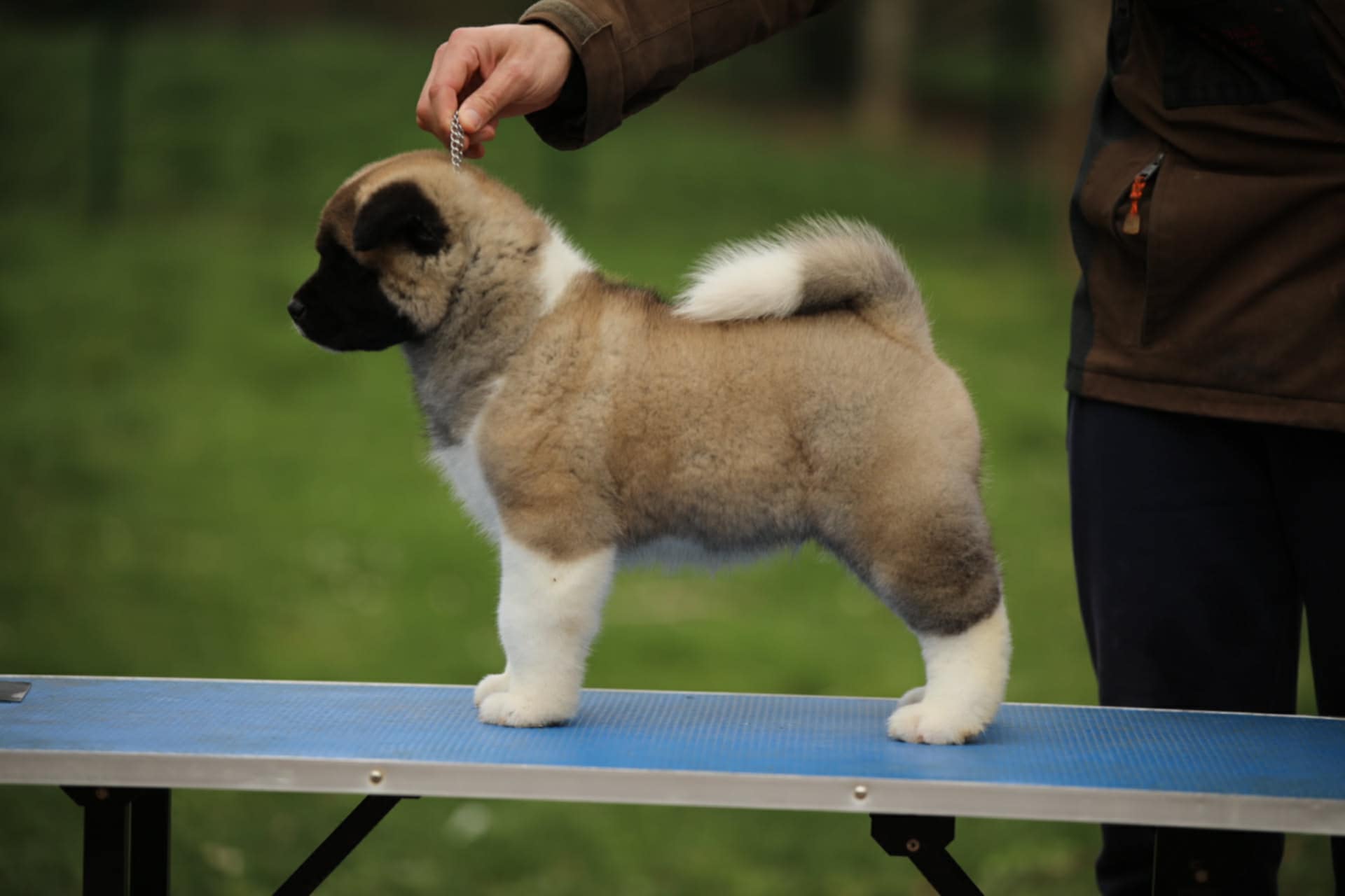 5b02b3c3 fac9 4a89 8e79 379fd485cd22