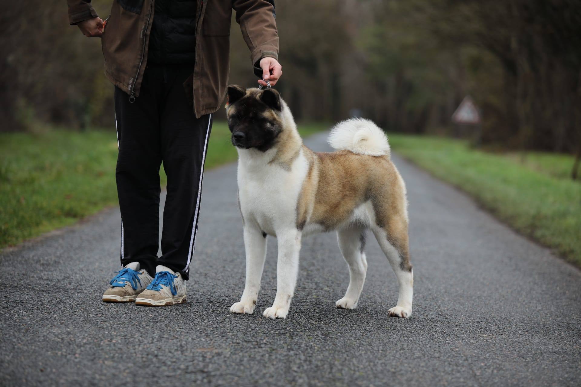 602485168 10239336499412158 6121326291058856957 n